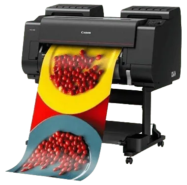 imagePROGRAF PRO-2100